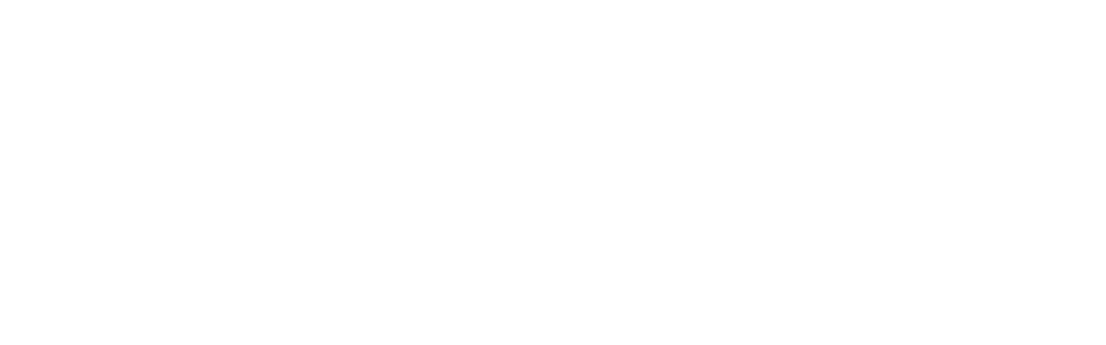 Hinomi Inc.